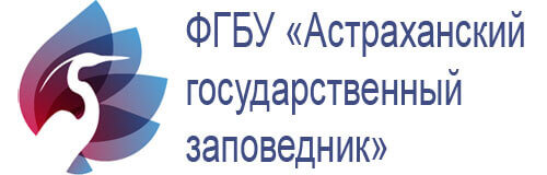 astrakhan-zap-logo