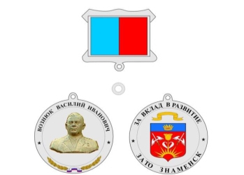 development assistance znamensk badge