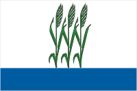 Vector clipart: Kamyshin (Volgograd oblast), flag