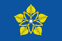 Olkhovka (Volgograd oblast), flag - vector image