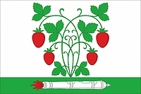 Tschistaja Poljana (Oblast Woronesch), Flagge