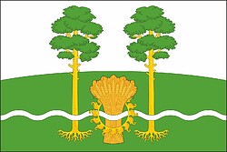 Vector clipart: Prigorodnyi (Voronezh oblast), flag