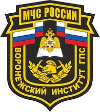 Voronezh Fire Protection Institute, sleeve insignia - vector image