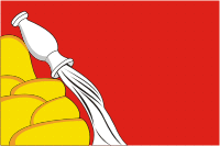 Voronezh oblast, flag (2005) - vector image