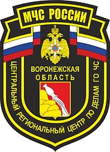 Главное управление МЧС РФ по Воронежской области, нарукавный знак