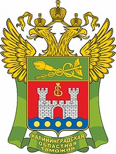 Калининградская областная таможня, эмблема (2008 г.) - векторное изображение