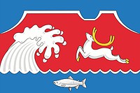 Manily (Kamchatka krai), flag