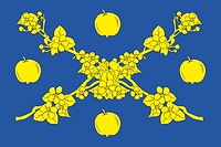 Vyatskie Polyany rayon (Kirov oblast), flag