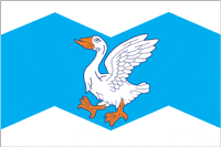 Shadrinsk rayon (Kurgan oblast), proposed flag - vector image