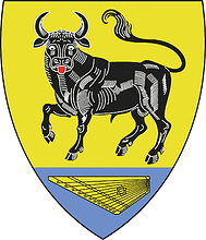 Vector clipart: Bolshaya Vruda (Leningrad oblast), coat of arms