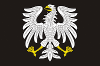 Vector clipart: Tyosovo-4 (Leningrad oblast), flag