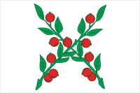 Chaplygin (Lipetsk oblast), flag