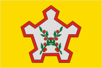 Chaplygin rayon (Lipetsk oblast), flag