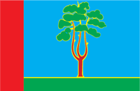 Chernogolovka (Moscow oblast), flag