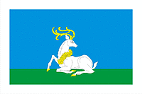 Odintsovo (Moscow oblast), flag (2009)