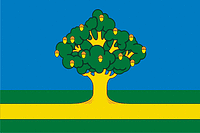 Rzhavki (Moscow oblast), flag - vector image