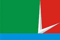 Selyatino (Moscow oblast), flag - vector image