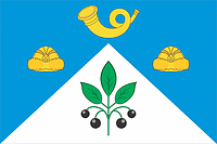 Zubovo (Moscow oblast), flag - vector image