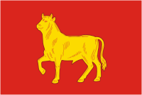 Kuibyshev (Novosibirsk oblast), flag