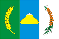 Novosibirsk rayon (Novosibirsk oblast), flag - vector image