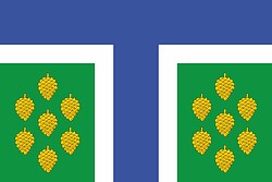 Vector clipart: Tevriz rayon (Omsk oblast), flag