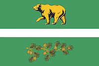 Znamenskoe rayon (Omsk oblast), flag