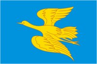 Belinski (Oblast Pensa), Flagge