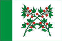 Wadinsk (Oblast Pensa), Flagge