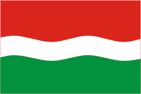 Krasnokamsk (Perm krai), flag (2003) - vector image