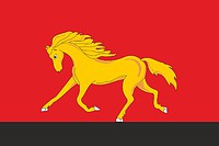 Нижнесавинское (Пермский край), флаг - векторное изображение