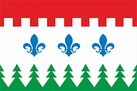 Savinskoe (Perm krai), flag - vector image