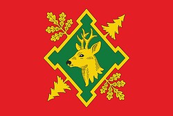 Vector clipart: Borki (Shilovrayon in Ryazan oblast), flag