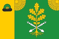 Bychki (Ryazan oblast), flag - vector image