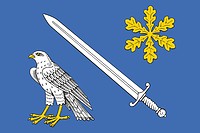 Morozovy Borki (Ryazan oblast), flag - vector image