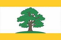 Pronsk (Oblast Rjasan), Flagge