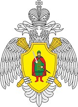 Ryazan Region Office of Emergency Situations, emblem for banner - vector image