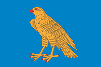 Sapozhok (Ryazan oblast), flag