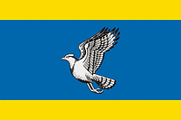 Vector clipart: Skopin (Ryazan oblast), flag