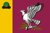 Скопинский район (Рязанская область), флаг