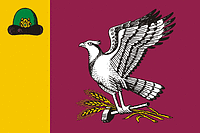 Skopin rayon (Ryazan oblast), flag