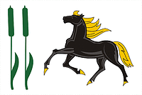 Kamyshla rayon (Samara oblast), flag