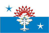 Серов (Свердловская область), флаг - векторное изображение