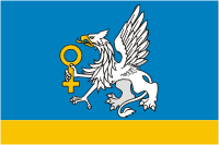 Верхняя Пышма (Свердловская область), флаг