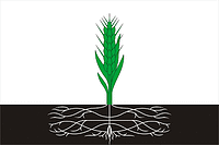 Pochinok rayon (Smolensk oblast), flag - vector image