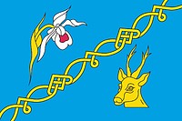 Knyashchiny (Tver oblast), flag