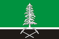 Nelidovo rayon (Tver oblast), flag - vector image