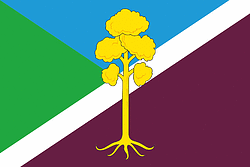 Radchenko (Tver oblast), flag