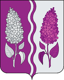 Ruchi (Tver oblast), coat of arms