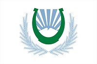 Nalchik (Kabard-Balkaria), flag - vector image