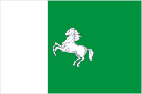 Vector clipart: Tomsk (Tomsk oblast), flag (2003)